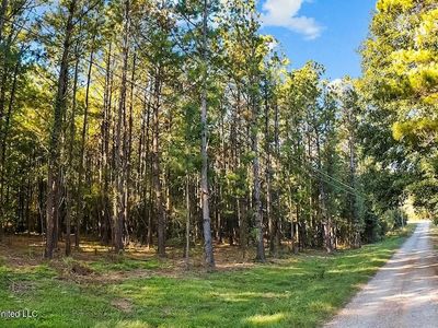 Cybur Hills Rd, Carriere, MS, 39426