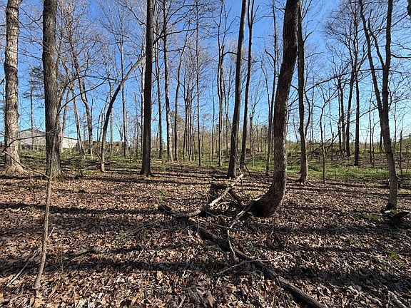 5th image of 1 Samuel Dr