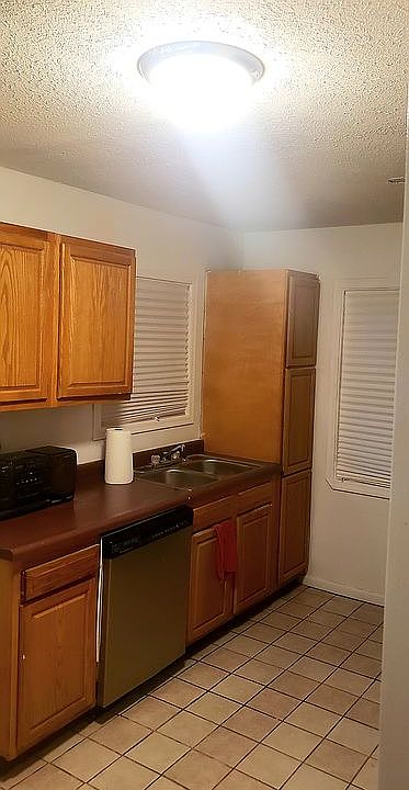 Pantry and dishwasher 