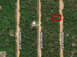 LOT 33 Neisman Ave LOT 33, Interlachen, FL 32148