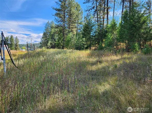 0 TBD Pine Grove Street, Republic, WA 99166