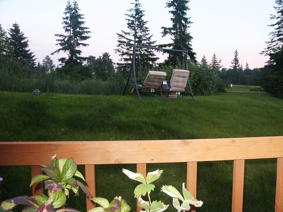 backyard view