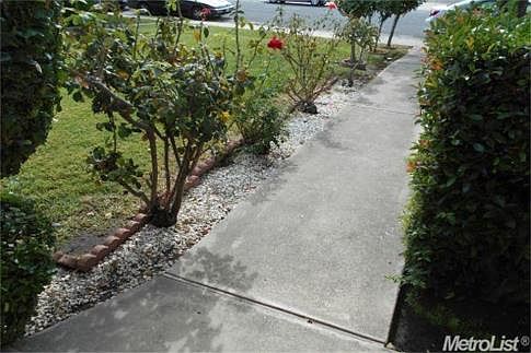 4th image of 1641 Wyatt Way