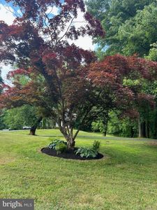 9806 Bon Haven Ln, Owings Mills, MD, 21117