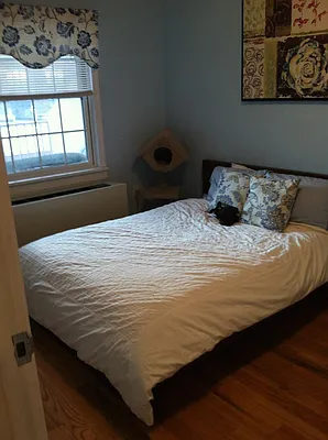 Rented by Realty 2000 Corp | media 23