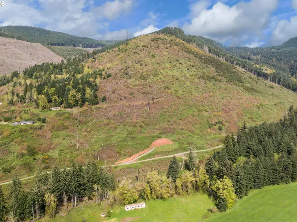 78693 Dowens Rd, Cottage Grove, OR 97424
