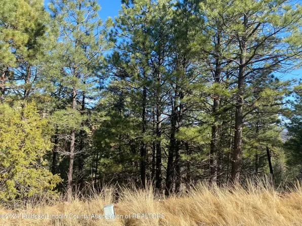 LOT 22 High Mesa Rd #2, Alto, NM 88312