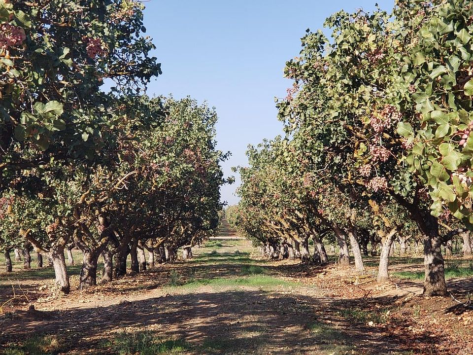 20 Acres Ave 21, Madera, CA 93638 Zillow