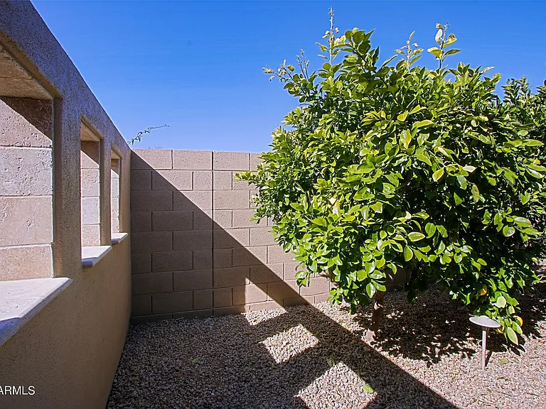 6917 E Sienna Bouquet Pl — Photo 63