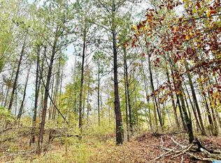 0 County Road 62, Wadley, AL 36276