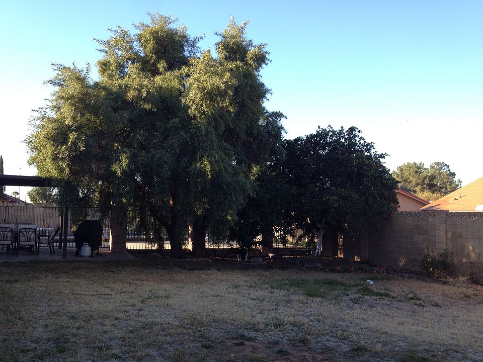 Big Back Yard!