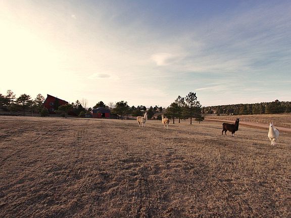 Bring your horses, llamas, etc...