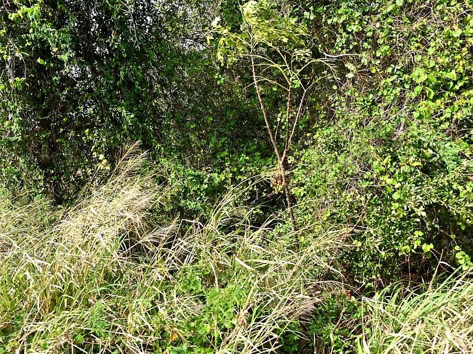 1st image of 000 N 37th (Lot 11) Street