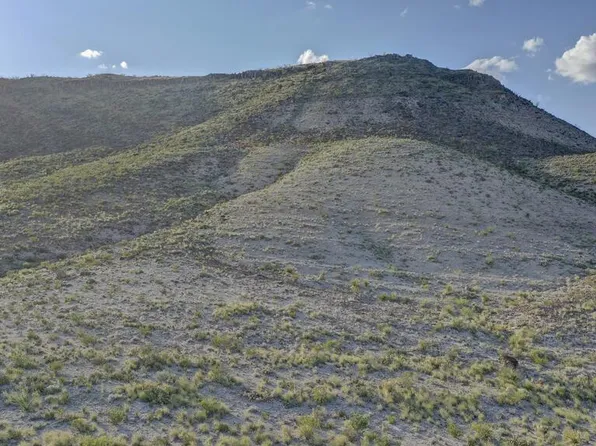 8117 Cedar Springs Rd, Terlingua, TX 79852