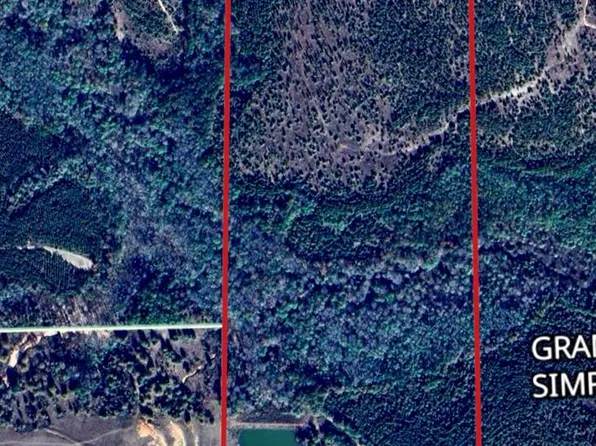 (undisclosed Address), Fort Gaines, GA 39851