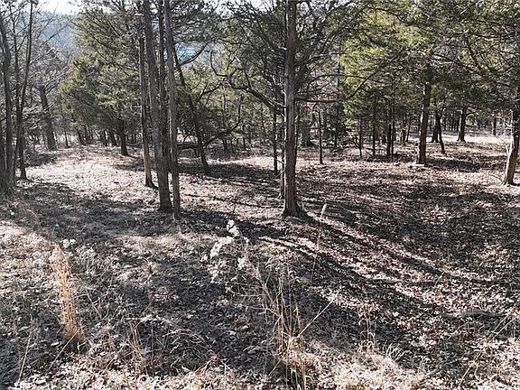 5th image of 10321 Timber Hill Dr