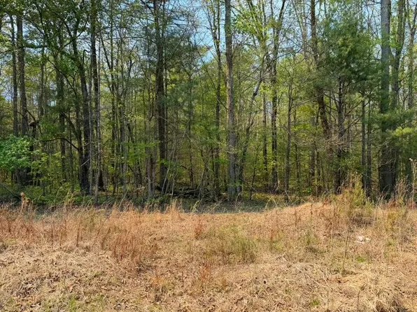 151 Baker Rd, Tellico Plains, TN 37385