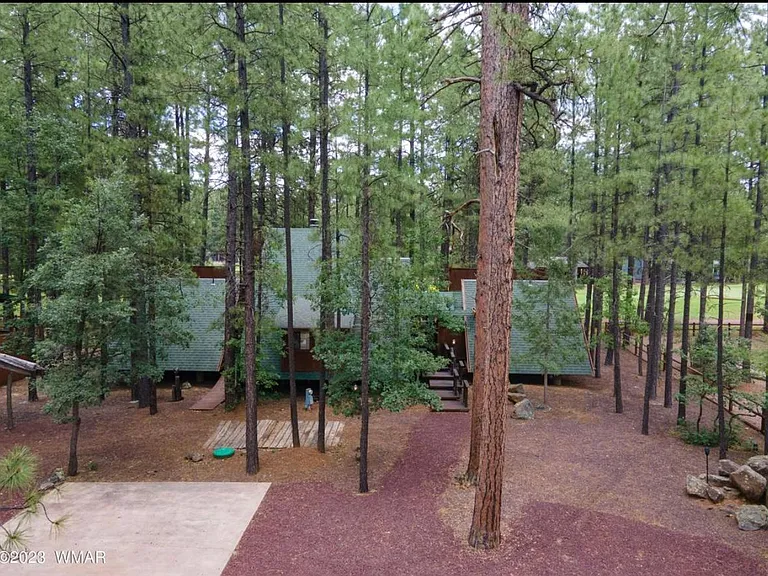 Deep Forest Dr — Photo 4