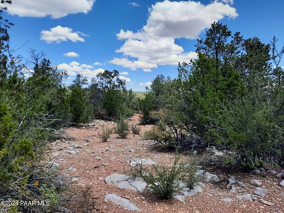 4th image of LOT 236 Forest Ln