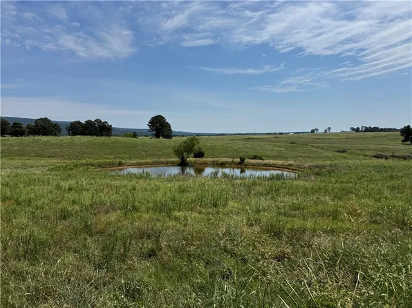 TRACT 2 Llewellyn Loop, Hector, AR 72843