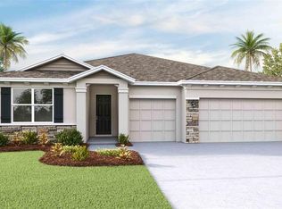 23199 Pachino Way, Lutz, FL 33549