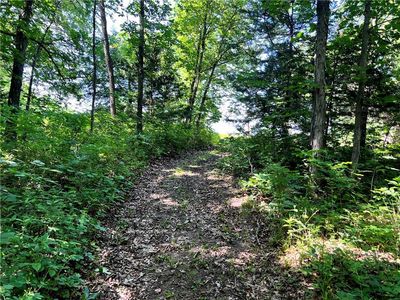 0 N 1851 Diagonal Rd, Lecompton, KS, 66050