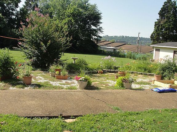 Extensive Back Garden