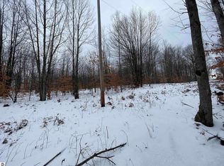 N Turnerville Rd, Lake City, MI 49651