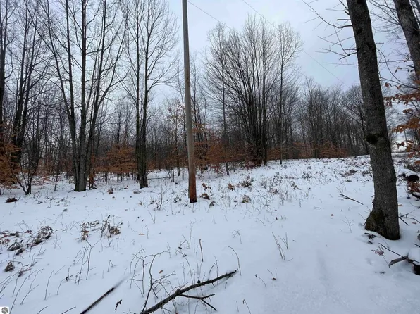 N Turnerville Rd, Lake City, MI 49651