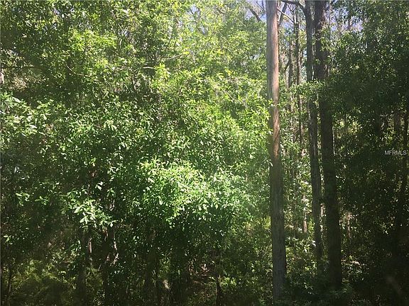 3rd image of 2810 Fox Squirrel Dr #0