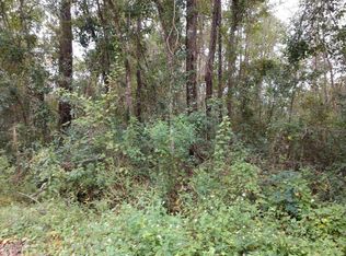 4241 Blueberry St, Middleburg, FL 32068