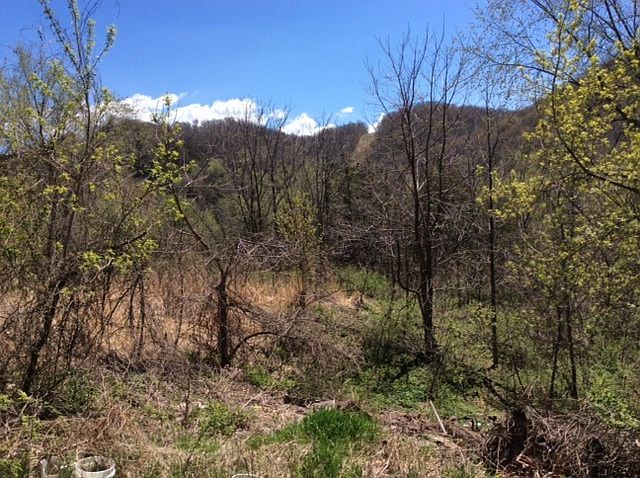2nd image of E575 Gianoli Rd