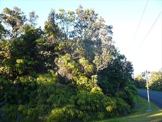 1st image of Eighth Street Jade Ave Lot 749
