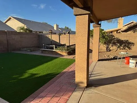 Backyard