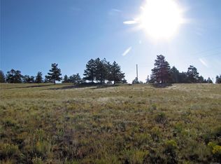 2821 Singletree Rd, Hartsel, CO 80449