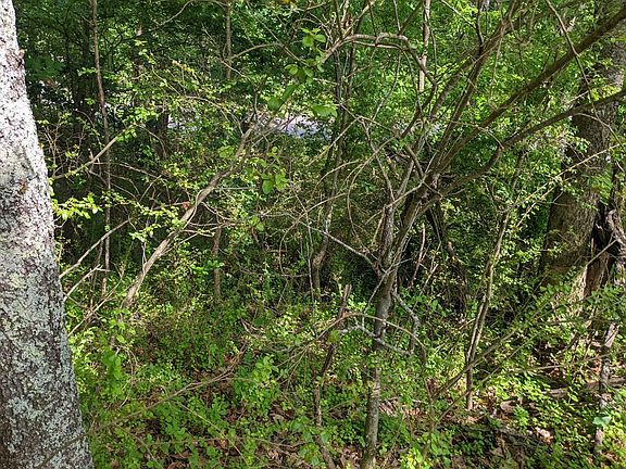 2nd image of Old Highway 411