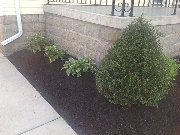 Landscaping along driveway