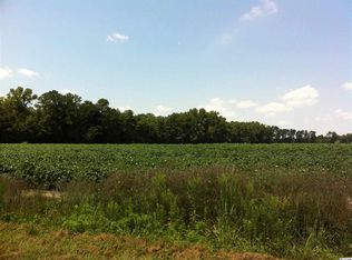 Pinckney Road Elvington Rd, Nichols, SC 29581