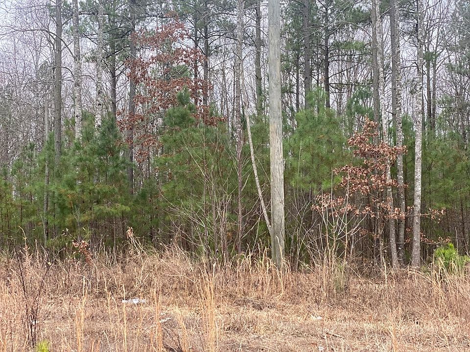2nd image of Red Rd