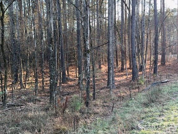 4th image of 8066 Gulf Creek Rd