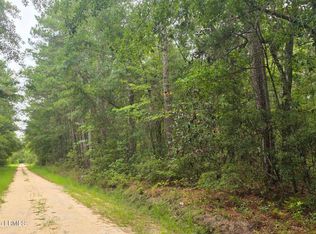 00 Wade Hampton Road, Hampton, SC 29924