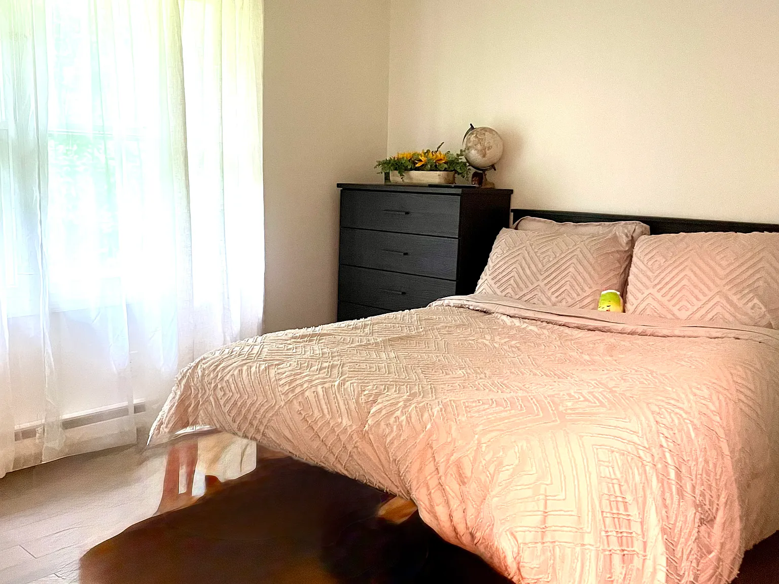 2 bed, 1000 sqft, $1,900 — Photo 3