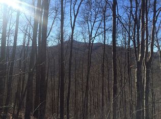 245 Beautyberry Ct, Tuckasegee, NC 28783