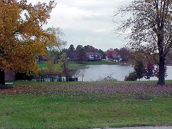 Lake View - Back Yard