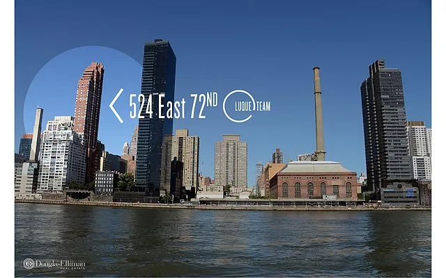 Rented by Douglas Elliman | media 16