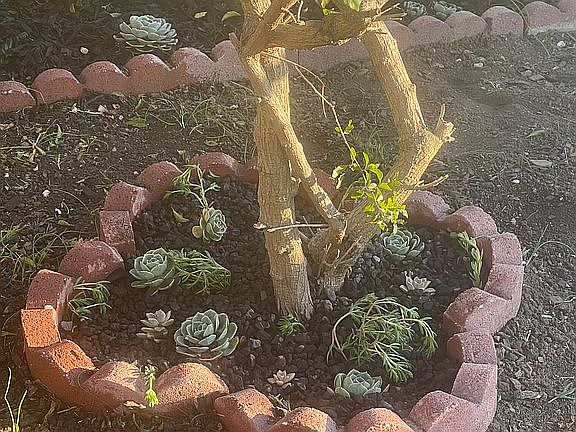 3rd image of 27958 Mandarin Ave