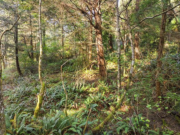 4th image of 6911 Vista Rd