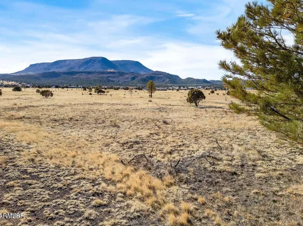 21 N COUNTY ROAD N2002 -- #26, Nutrioso, AZ 85932