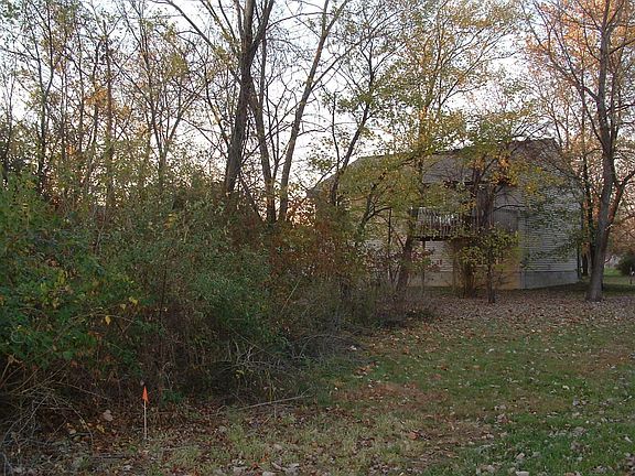 Wooded backyard area