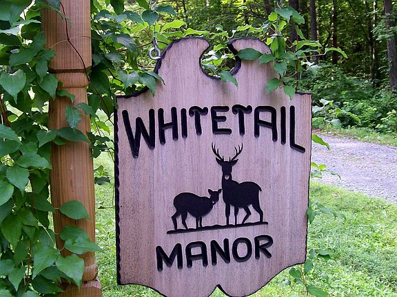 5th image of 11454 Whitetail Dr